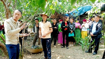Thúc đẩy sáng tạo, chuyển giao khoa học kỹ thuật vào đời sống