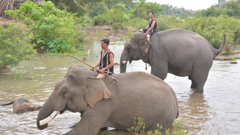 គម្រោងទេសចរណ៍ Dak Lak ជាច្រើនបានជួបការលំបាក ជំរុញការវិនិយោគ និងការអភិវឌ្ឍន៍។