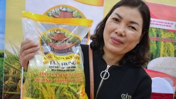 អំពីកន្លែងដែលមានផលិតផល OCOP ចំនួន ១១