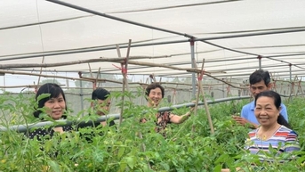 អនុវត្តកម្មវិធី OCOP នៅទីក្រុងហាណូយ៖ អភិវឌ្ឍន៍ផលិតផលពីតំបន់ឯកទេស