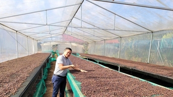 តម្លៃកាហ្វេថ្ងៃនេះ ថ្ងៃទី 10 ខែវិច្ឆិកា ឆ្នាំ 2025៖ សម្ពាធកើនឡើងជិតដល់កំពូលថ្មី 119,700 ដុង