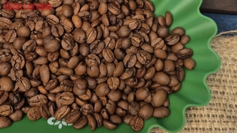 ដំណឹង​ល្អ​បន្ថែម​ទៀត​សម្រាប់​កាហ្វេ​វៀតណាម