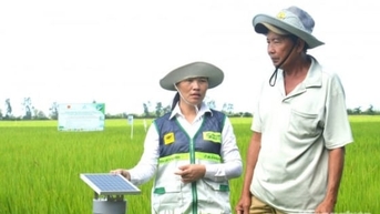 Tích hợp IPHM vào Đề án 1 triệu ha lúa chất lượng cao