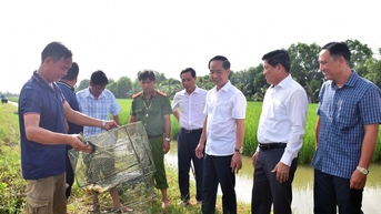 Phó Bí thư Tỉnh ủy Hồ Thanh Thủy khảo sát mô hình phát triển kinh tế và làm việc với Đảng ủy Phường Lý Văn Lâm