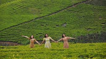 Lễ hội Trà quốc tế sẽ diễn ra gần một tháng tại Lâm Đồng