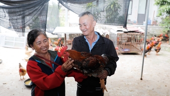 Nhã Nam giảm nghèo nhờ vốn vay ưu đãi