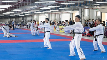 តេក្វាន់ដូហាណូយ និងក្តីប្រាថ្នាចង់ឈានទៅដល់កម្រិតអន្តរជាតិ