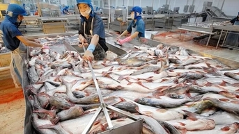 Tin Công Thương 10/11: Việt Nam tận dụng ưu đãi của Hiệp định CPTPP để thúc đẩy kinh tế