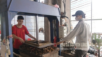 Thế mạnh hợp tác xã