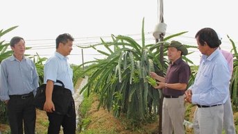 Kinh tế tập thể - Hướng đi bền vững giúp người dân thoát nghèo