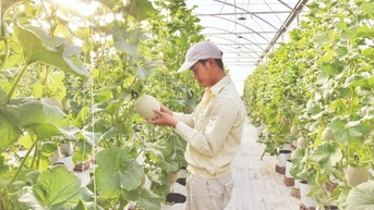 Sửa Nghị định 98/2018/NĐ-CP: Gắn kết với phát triển xanh, phát thải thấp