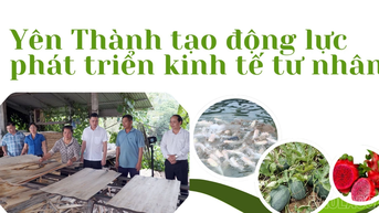 Yên Thành tạo động lực phát triển kinh tế tư nhân