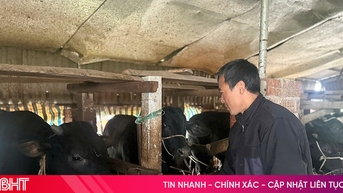 ទុង ឡុក ចិញ្ចឹមជីវិត ជួយប្រជាជនឱ្យរួចផុតពីភាពក្រីក្រប្រកបដោយនិរន្តរភាព