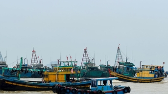 Siết chặt quản lý tàu cá không đủ điều kiện hoạt động