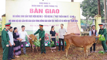 ក្រុមការពារសេដ្ឋកិច្ច ៧១៥ ប្រគល់គោចិញ្ចឹមដល់គ្រួសារនៅតំបន់ព្រំដែន