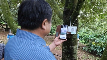 ការកសាងខ្សែសង្វាក់តម្លៃតម្លាភាពសម្រាប់ទុរេន