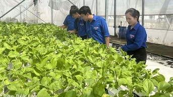 កសិកម្មបច្ចេកវិទ្យាខ្ពស់ - ផ្លូវជៀសមិនរួច