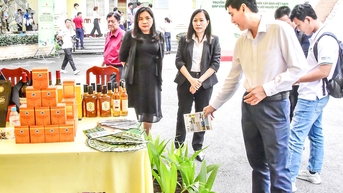 ផ្តោតលើសសរស្តម្ភ 3 នៃការអភិវឌ្ឍន៍ឧស្សាហកម្មដូង