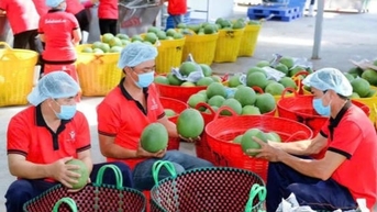 Thúc đẩy chuỗi giá trị xanh, tăng sức cạnh tranh cho nông sản