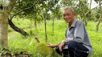 Cựu chiến binh xung kích làm giàu