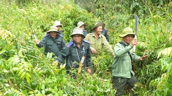 Giữ màu xanh Vườn quốc gia U Minh Thượng