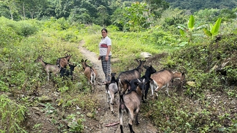 Vươn lên thoát nghèo