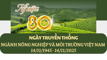 ភាពយន្តខ្លី អបអរសាទរខួបលើកទី 80 នៃទិវាប្រពៃណីនៃវិស័យកសិកម្ម និងបរិស្ថានរបស់វៀតណាម (ថ្ងៃទី 14 ខែវិច្ឆិកា ឆ្នាំ 1945 ដល់ថ្ងៃទី 14 ខែវិច្ឆិកា ឆ្នាំ 2025)