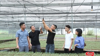 ធ្វើពិពិធកម្មដំណាំរដូវរងា