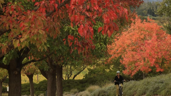 រីករាយនឹងទេសភាពរដូវស្លឹកឈើជ្រុះដ៏ស្រស់ស្អាតនៅជ្រលងភ្នំក្នុងរដ្ឋកាលីហ្វ័រញ៉ា
