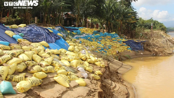 បាក់ច្រាំងទន្លេ ប្រជាពលរដ្ឋសង់បាវខ្សាច់ជាង១ម៉ឺនបាវ ដើម្បីទប់ស្កាត់ 'ទន្លេព្រះ' លេបត្របាក់ភូមិ