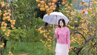 ការព្យាករណ៍អាកាសធាតុថ្ងៃទី ១២ ខែវិច្ឆិកា៖ អាកាសធាតុមានពន្លឺថ្ងៃនៅភាគខាងជើង មុនពេលអាកាសធាតុត្រជាក់