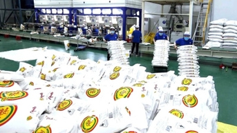 KỶ NIỆM 80 NĂM NGÀY TRUYỀN THỐNG NGÀNH NÔNG NGHIỆP VÀ MÔI TRƯỜNG Để nông nghiệp thật sự là lợi thế quốc gia