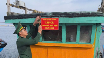 Đặc khu Lý Sơn niêm phong 7 tàu cá không đủ điều kiện khai thác hải sản