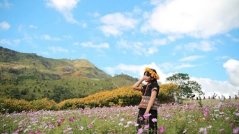 Gia Lai រៀបនឹងរៀបចំពិធីបុណ្យផ្កាឈូករ័ត្នព្រៃភ្នំភ្លើង Chu Dang Ya