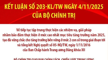 ភារកិច្ចរបស់គណៈកម្មាធិការគោលនយោបាយ និងយុទ្ធសាស្ត្រមជ្ឈិម គណៈកម្មាធិការបក្សគ្រប់លំដាប់ថ្នាក់ រដ្ឋាភិបាល និងរណសិរ្សមាតុភូមិវៀតណាម
