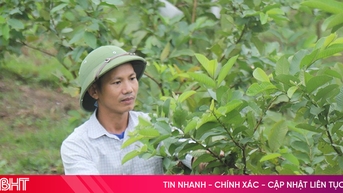 "ផ្តល់ដំបងនេសាទ" ដល់ជនក្រីក្រ