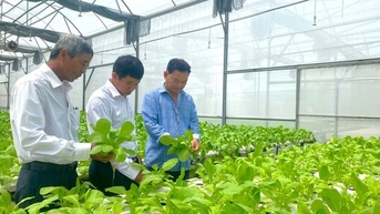 Nâng chất lượng hoạt động, điều hành hợp tác xã nông nghiệp