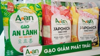 Tân Long làm ‘từ gốc đến ngọn’