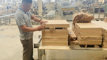 Quảng Trị: Gieo ‘thương hiệu’ từ sản phẩm công nghiệp nông thôn
