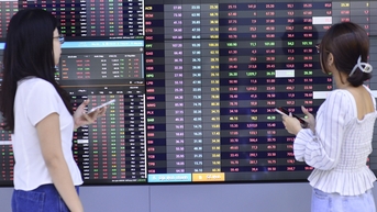 Margin nhạy cảm nhất kể từ 2022, chứng khoán cần quay trở lại với câu chuyện cơ bản