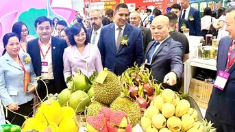 Hơn 500 gian hàng góp mặt tại Triển lãm Quốc tế Công nghiệp Thực phẩm Việt Nam 2025