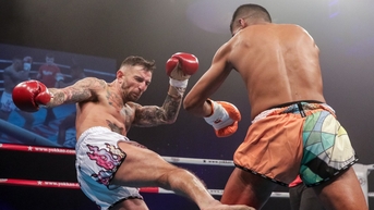 Đòn đá nào lợi hại nhất trên võ đài chuyên nghiệp?