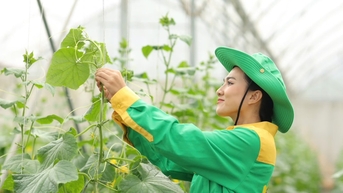 Dấu ấn Masan tại Triển lãm 80 năm nông nghiệp: Khẳng định vai trò tiên phong kiến tạo 'kỷ nguyên xanh' của Việt Nam