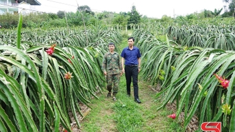 Chuyển đổi số - thúc đẩy nông thôn Sơn La phát triển