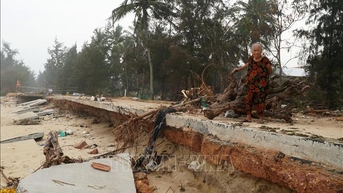 Sạt lở ăn sâu, 80 hộ dân Quảng Ngãi sống trong nỗi lo biển cuốn nhà