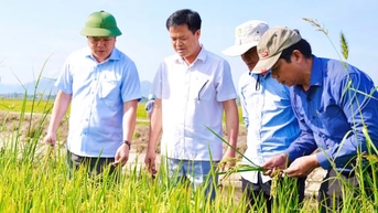 Công nghệ số là động lực then chốt thay đổi diện mạo nông nghiệp