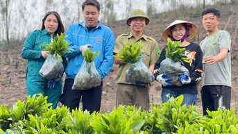 Chung tay phủ xanh núi Sơn Đào