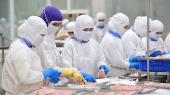 Lo xuất khẩu thủy sản chững lại cuối năm