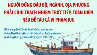 Người đứng đầu bộ, ngành, địa phương chịu trách nhiệm nếu để tàu cá vi phạm IUU