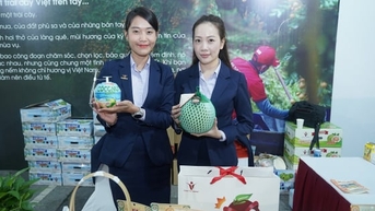 Nông nghiệp bền vững khi nông dân lớn cùng doanh nghiệp